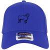 OTTO CAP® OTTO FLEX® Fitted 6 Panel Low Profile Baseball Cap Thumbnail